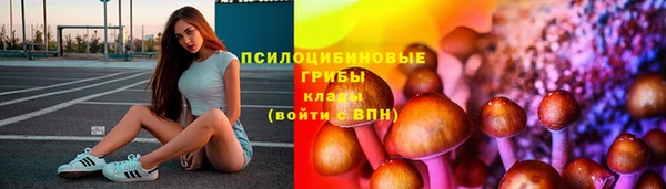 метадон Алексин