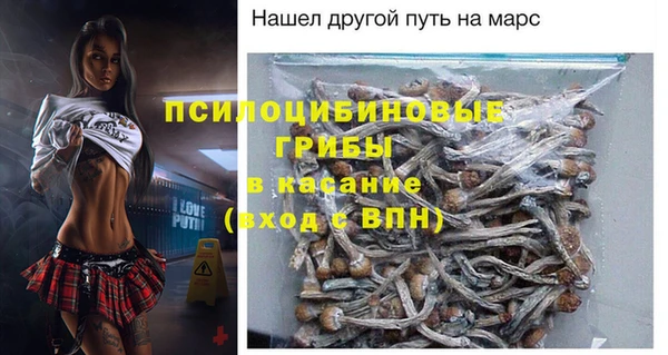 метадон Алексин