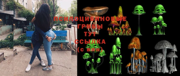 дурь Алзамай