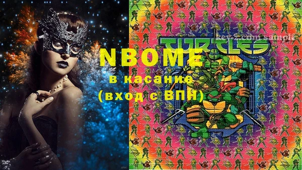 метадон Алексин