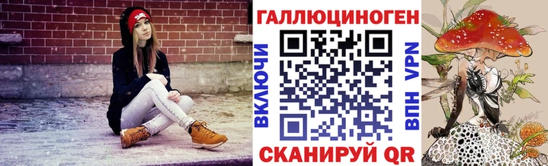 наркота  Сарапул  Галлюциногенные грибы Psilocybe 