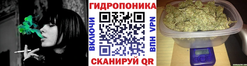 где найти   Сарапул  OMG tor  Конопля семена 